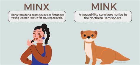 mynx meaning|minx etymology.
